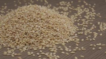Barley cereal, vegan vegetarian food, nutrition diet, grain wheat. Organic agriculture video