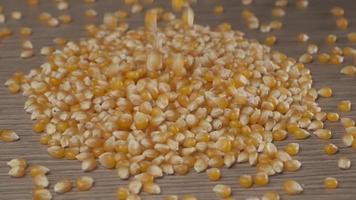 maíz maíz, alimento de grano de cereal video