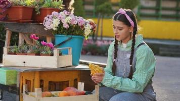 femme regarde la courge à l'affichage du marché d'automne video