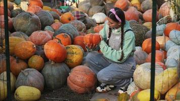 Woman with pumpkins at fall market display video