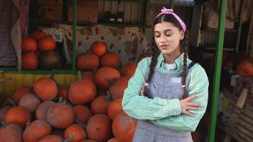 Woman talks with pumpkins at fall market display video