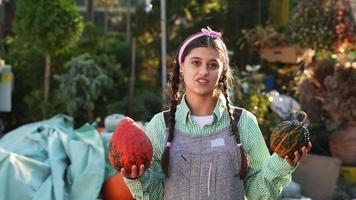 Woman pumpkin squash and talks at fall market display video