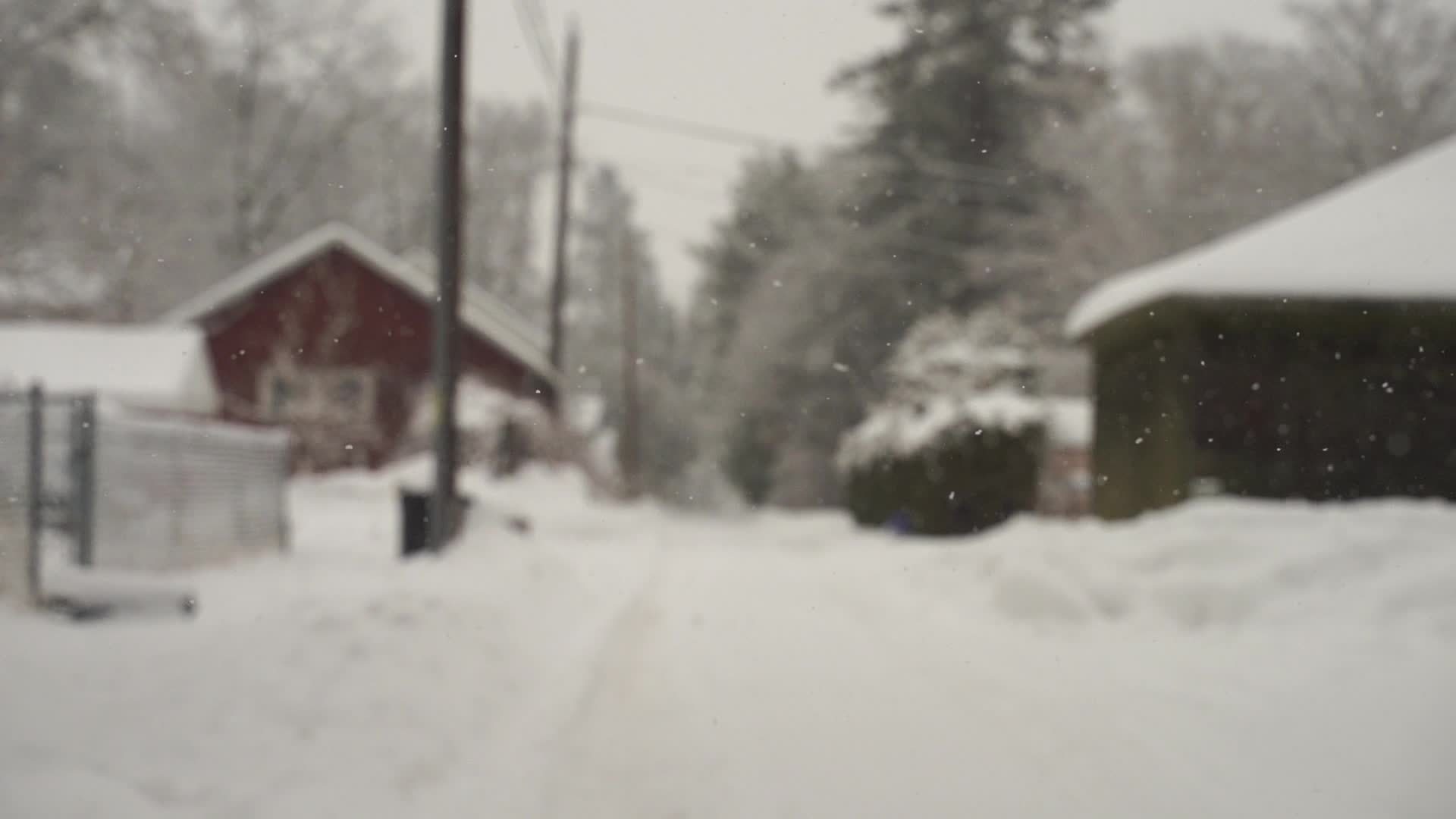 Snow falling in Wisconsin snowing in the backyard, dead tree