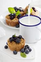 Baked oatmeal muffins with blueberry photo