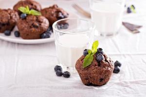 Chocolate muffins with blueberries photo