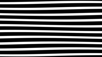 Black and white stripe motion background, stripe cartoonist background. Wave pattern. Animated background. 4k video