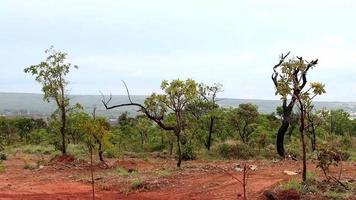 a paisagem natural do parque natural burle marx, no noroeste de brasilia, conhecido como noroeste video