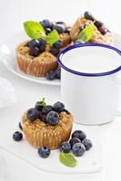 Baked oatmeal muffins with blueberry photo