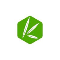 letter k green leaf hexagonal geometric symbol logo vector