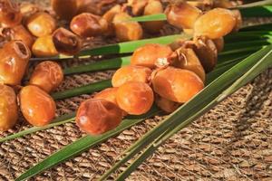 Fresh dates close up, selective focus. The fruits collected for drying lie on a mat. Date harvest on the farm idea for background or advertising photo