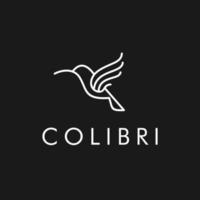 colibri bird logo. abstract hummingbird icon logo vector illustration in trendy line outline art style