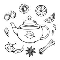 Black and white outline illustration of teapot with herbs. Mint, chamomille, jasmine, raspberry, lemon, cinnamon, carnation, anise.  Vector monochrome elements collection