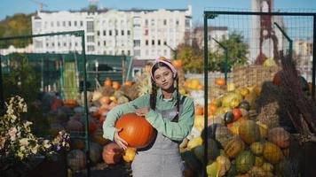 Woman holds pumpkin and talks at fall market display video