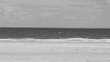 belle plage de l'île de holbox banc de sable panorama eau turquoise vagues mexique. video