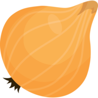 légume oignon blanc png