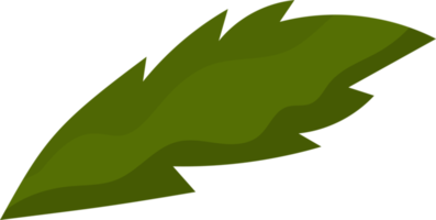 green herb leaf png