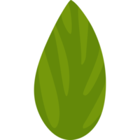 groen kruid blad png