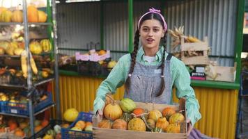 Woman holds pumpkin and talks at fall market display video