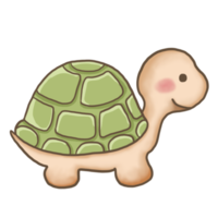 schildkröte cartoon gekritzel kawaii anime malseite niedlich illustration zeichnung clipart charakter chibi manga comics png