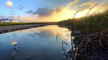 pozzanghera acqua vicino il strada nel verde campo e tramonto video