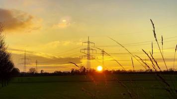 grünes feld im sonnenuntergang video