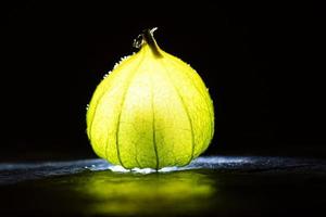 Physalis on black wet soil with black background. Illuminated fruit. Vitamin C photo