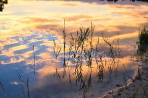 lago del bosque con reflejo del cielo al atardecer. las cañas, los árboles y el prado foto