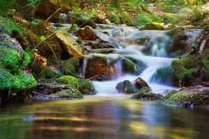 un arroyo del bosque capturado con una larga exposición. foto