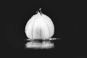 Physalis on black, wet soil in scwarz white. Illuminated fruit. Vitamin C rich photo