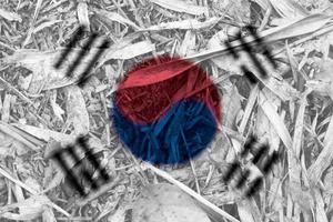 textura de la bandera coreana como fondo foto