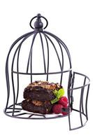 Brownies in a cage isolated on white photo