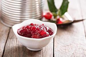 Storebought cranberry sauce in small dish photo