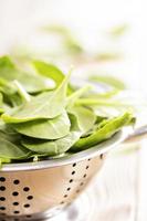 Fresh spinach leaves in a colander photo