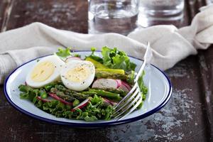 Fresh salad with lettuce, asparagus and eggs photo