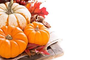 Pumpkin still life isolated on white photo