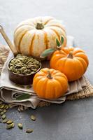 Pumpkins with seeds and sage leaves photo