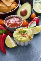 Mexican cuisine ingredients and guacamole photo