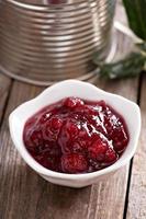 Storebought cranberry sauce in small dish photo