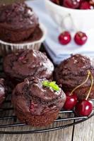 muffins de chocolate con cereza foto