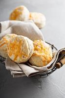 Homemade buttermilk biscuits with cheddar cheese photo