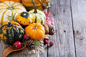 Pumpkins and variety of squash photo