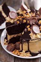 Chocolate peanut butter cake with frosting photo