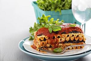 Vegan lasagna with eggplant and tofu photo