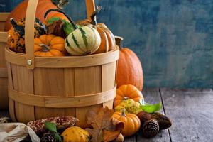 Pumpkins and variety of squash photo