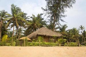 Agonda beach in India photo