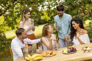 Group of happy young people cheering with fresh lemonade and eating fruits in the garden photo