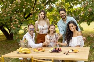 Group of happy young people cheering with fresh lemonade and eating fruits in the garden photo