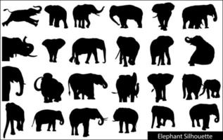 Elephant collection - vector silhouette