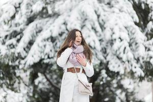 Young woman at winter photo