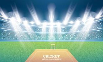 Cricket Stadium with Spotlights. vector